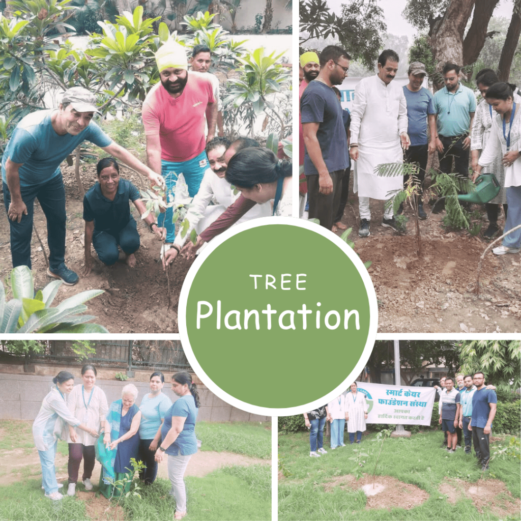 tree plantation by smart care foundation