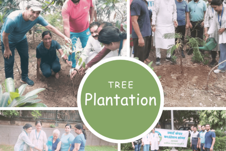 tree plantation by smart care foundation