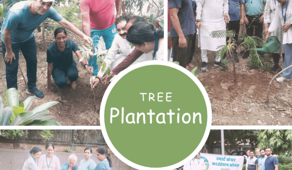 tree plantation by smart care foundation